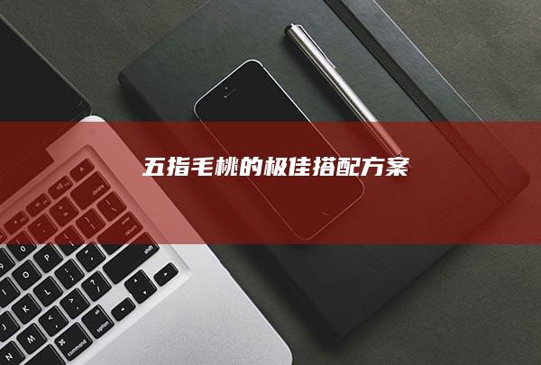 五指毛桃的极佳搭配方案